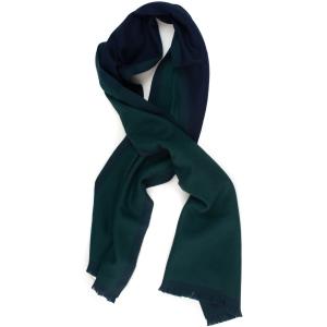 Fay Sciarpa Verde Lana vergine Uomo