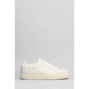 Sneakers Basso lux in Pelle Grigia