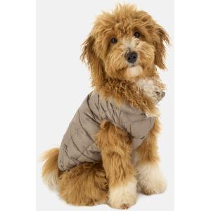 Boggi, Bomber Per Cani In Tessuto Tecnico In Piuma D`oca, Donna, Taupe, Taglia: L