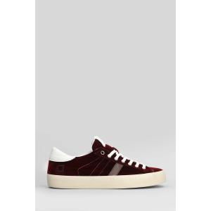 Sneakers Hill Low in Velluto Bordeaux