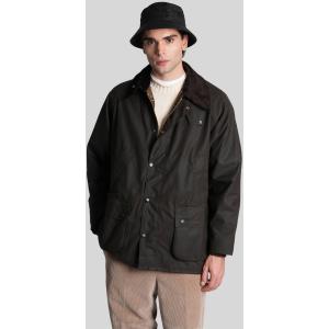 Giacca Casual Classic bedale in Cotone Marrone